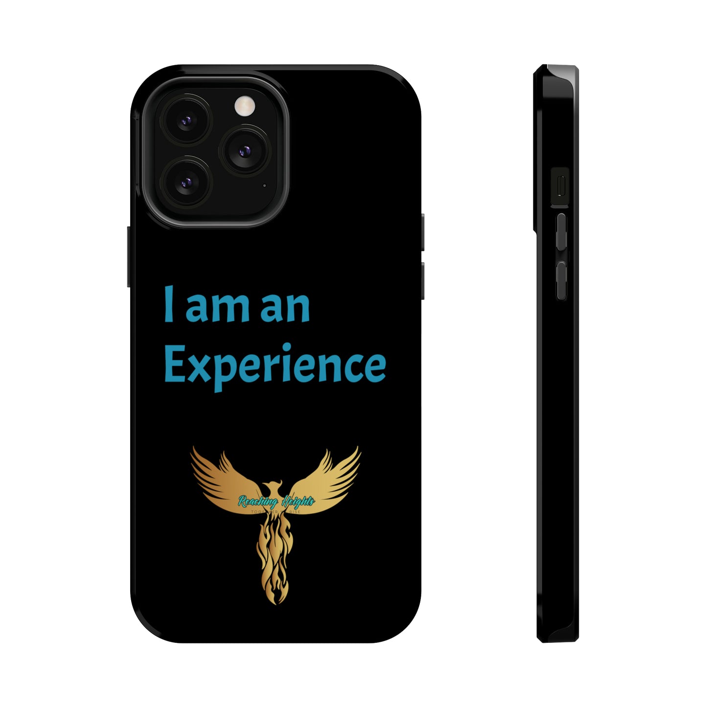 I am an Experience: Black: Turquoise Font: MagSafe Tough Cases